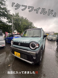 「タフワイルド」の現車あります！